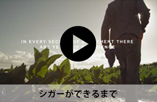 banner_cigar